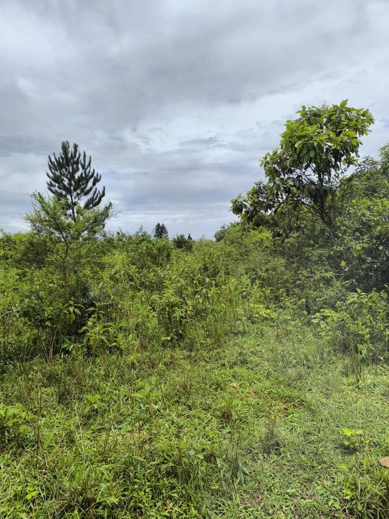 2 Acres Busika Town